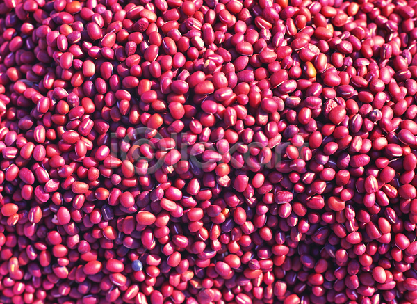 사람없음 JPG 포토 곡류 낟알 농작물 다수 백그라운드 빨간색 식재료 씨앗 알맹이 여러개 음식 잡곡 재료 컬러 콩 팥