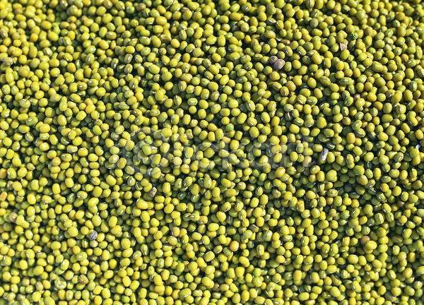 사람없음 JPG 포토 곡류 낟알 녹두 농작물 다수 백그라운드 식재료 씨앗 알맹이 여러개 음식 잡곡 재료 초록색 컬러 콩