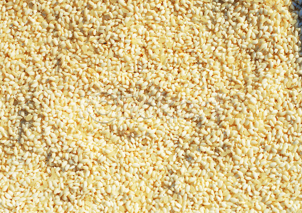 사람없음 JPG 포토 곡류 낟알 농작물 다수 백그라운드 식재료 쌀 씨앗 알맹이 여러개 음식 잡곡 재료 찹쌀