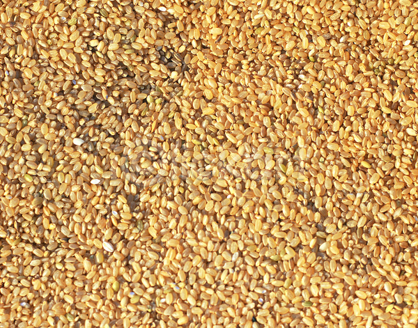 사람없음 JPG 포토 곡류 낟알 농작물 다수 백그라운드 식재료 쌀 씨앗 알맹이 여러개 음식 잡곡 재료 현미