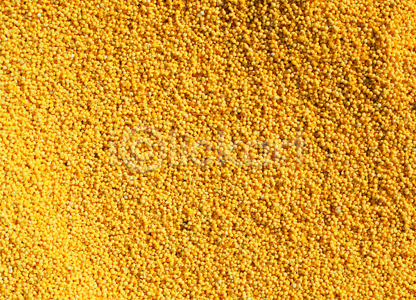 사람없음 JPG 포토 곡류 낟알 노란색 농작물 다수 백그라운드 식재료 씨앗 알맹이 여러개 음식 잡곡 재료 컬러