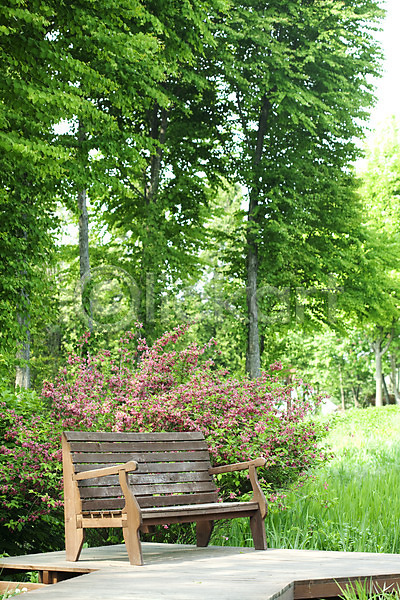 사람없음 JPG 포토 계절 꽃 나무 벤치 봄 봄풍경 숲 식물 야외 자연 풀(식물) 풍경(경치)