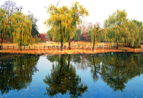 고요 침묵 평화 사람없음 JPG 포토 공원 나무 물그림자 반사 서울 수도 수도(도성) 식물 야외 연못 용산 용산공원 울타리 자연 주간 풍경(경치) 한국 호수