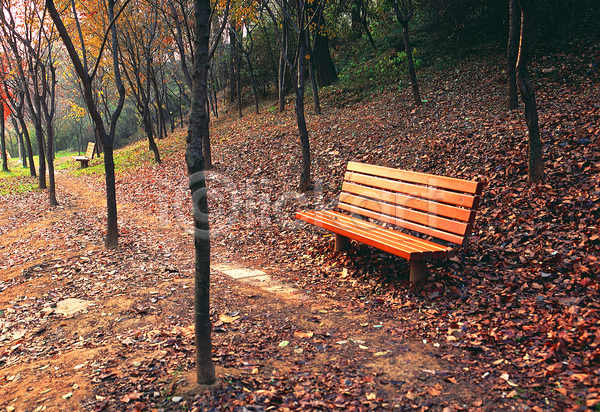 휴식 사람없음 JPG 포토 가을(계절) 가을풍경 계절 나무 낙엽 벤치 산책로 숲 숲속 식물 야외 오솔길 의자 자연 주간 풍경(경치) 휴식처