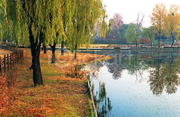 고요 침묵 평화 사람없음 JPG 포토 공원 나무 물그림자 반사 서울 수도 수도(도성) 식물 야외 연못 용산 용산공원 울타리 자연 주간 풍경(경치) 한국 호수