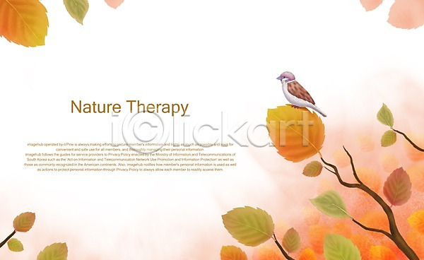 사람없음 PSD 일러스트 가을(계절) 가을배경 계절 나뭇가지 단풍 단풍나무 동물 백그라운드 사계절 자연 조류 참새 한마리