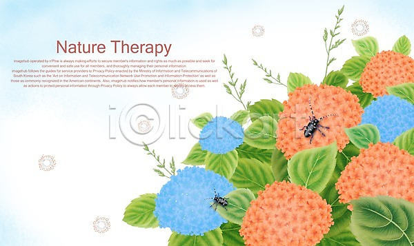 사람없음 PSD 일러스트 계절 곤충 꽃 백그라운드 사계절 수국 식물 여름(계절) 자연 장수하늘소 주황색 하늘색 한마리