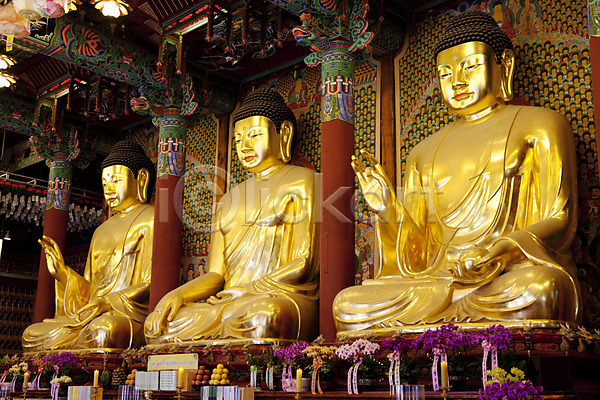 사람없음 JPG 포토 금불상 부처 부처님오신날 불교 불상 실내 조계사 종교