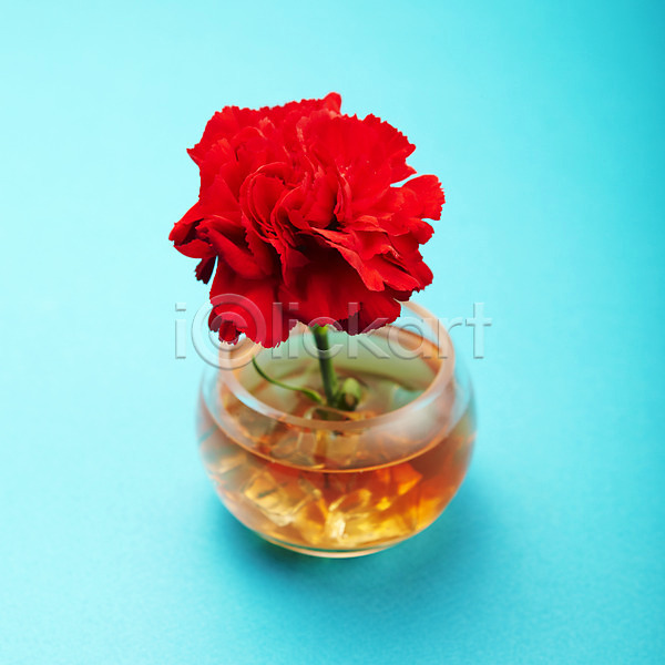 감사 사람없음 JPG 포토 기념일 꽃 꽃병 빨간색 스튜디오촬영 식물 실내 어버이날 촬영 카네이션 한송이
