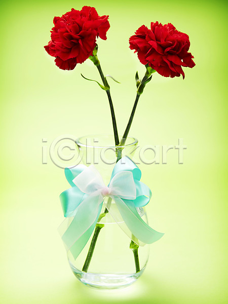 감사 사람없음 JPG 포토 기념일 꽃 꽃병 두송이 리본 빨간색 스튜디오촬영 식물 실내 어버이날 촬영 카네이션