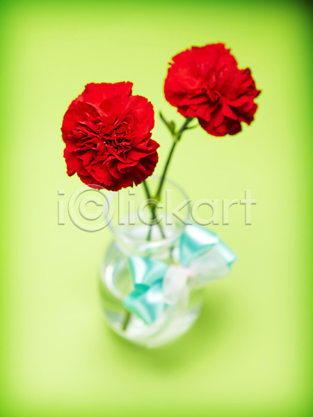 감사 사람없음 JPG 포토 기념일 꽃 꽃병 두송이 리본 빨간색 스튜디오촬영 식물 실내 어버이날 촬영 카네이션