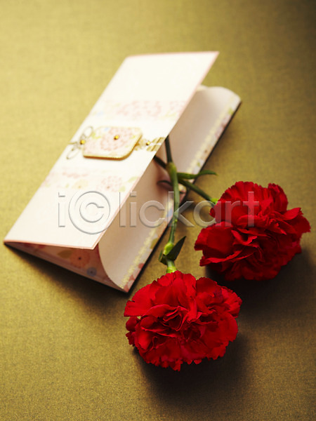 감사 사람없음 JPG 포토 기념일 꽃 두송이 봉투 빨간색 스튜디오촬영 식물 실내 어버이날 촬영 카네이션 카드(감사)