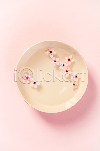 사람없음 JPG 포토 하이앵글 해외이미지 그릇 물 벚꽃 분홍색배경 실내 아로마테라피 해외202004