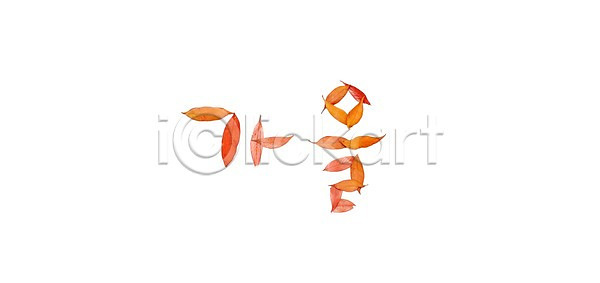 사람없음 포토 가을 국내포토 나뭇잎 낙엽 누끼 단어 단풍 문자 스튜디오촬영 실내 잎