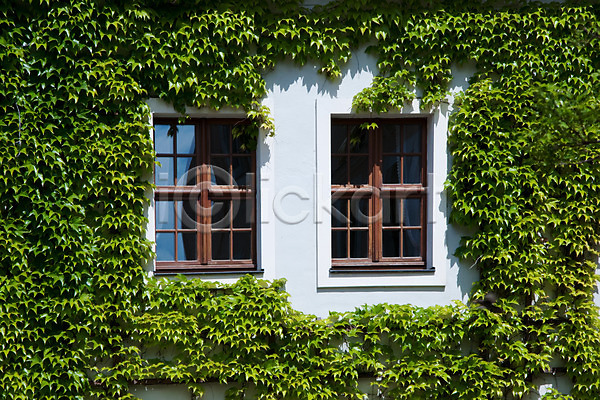 사람없음 JPG 포토 건물 관광지 나라 담쟁이덩굴 도시 독일 돔슈티프트 바우첸 세계 식물 야외 유럽 창문 풍경(경치) 해외 해외풍경