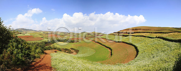 상쾌 사람없음 JPG 계단식 구름 밭 숲 야외 운남 중국 파노라마 풍경 하늘 홍토지