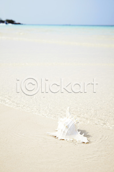 사람없음 JPG 포토 계절 모래사장 무인도 바다 사계절 섬 소라 야외 여름(계절) 오브젝트 풍경(경치) 해변