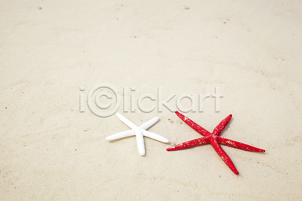 사람없음 JPG 포토 계절 모래사장 무인도 바다 불가사리 사계절 섬 야외 여름(계절) 오브젝트 풍경(경치) 해변