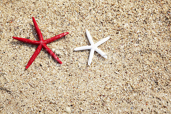 사람없음 JPG 포토 계절 모래사장 무인도 바다 불가사리 사계절 섬 야외 여름(계절) 오브젝트 풍경(경치) 해변