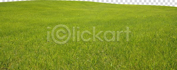 사람없음 PNG 편집이미지 들풀 목초지 식물 야외 주간 초록색 초원(자연) 파노라마 편집 편집소스 풍경(경치)