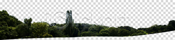 사람없음 PNG 편집이미지 공원 나무 숲 식물 야외 자연 정원 주간 컬러 파노라마 편집 편집소스 풍경(경치)