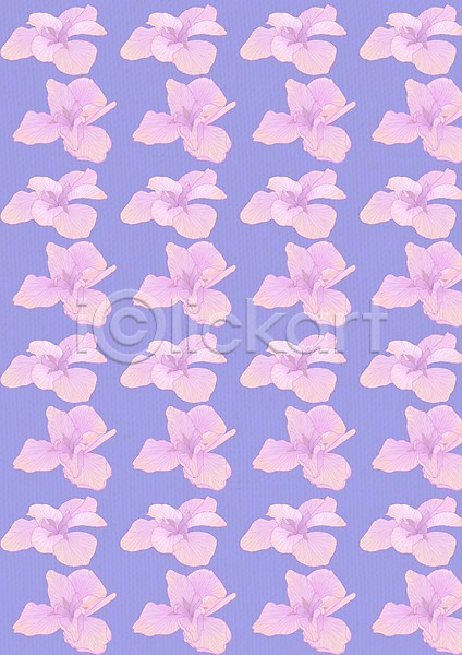 사람없음 PSD 일러스트 꽃 꽃무늬 꽃백그라운드 무늬 백그라운드 분홍색 패턴