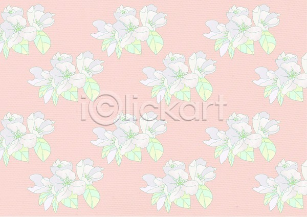 사람없음 PSD 일러스트 꽃 꽃무늬 꽃백그라운드 무늬 백그라운드 분홍색 패턴 흰색