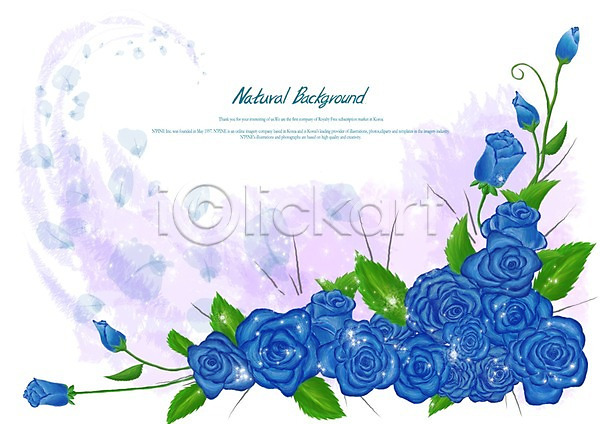 사람없음 PSD 일러스트 꽃 꽃백그라운드 백그라운드 식물 장미 파란색