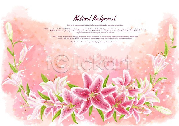 사람없음 PSD 일러스트 꽃 꽃백그라운드 꽃잎 백그라운드 백합(꽃) 분홍색 식물