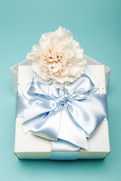 사람없음 JPG 포토 꽃 리본 상자 선물 선물상자 스튜디오촬영 식물 실내 장식 카네이션 포장 한송이 흰색