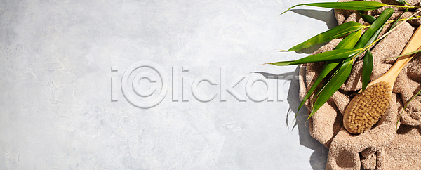 사람없음 JPG 포토 하이앵글 해외이미지 나뭇잎 브러쉬빗 수건 실내 자연보호 제로웨이스트 친환경 카피스페이스 프레임 해외202004 흰배경