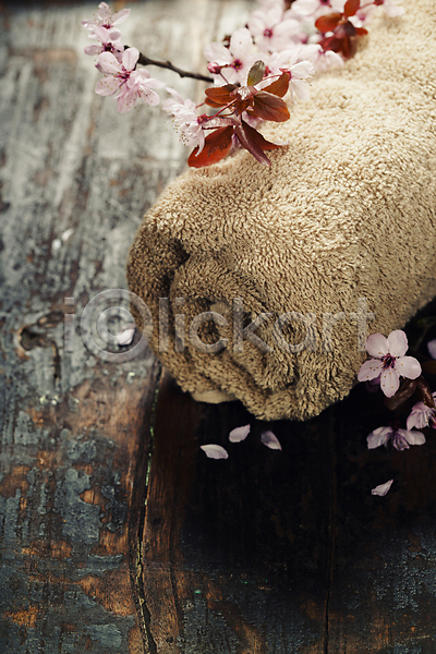 사람없음 JPG 포토 해외이미지 나뭇가지 벚꽃 수건 스파용품 아로마테라피 위생용품 해외202004