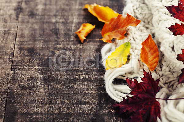 사람없음 JPG 포토 해외이미지 가을(계절) 나무탁자 낙엽 단풍잎 카피스페이스 털실 해외202004