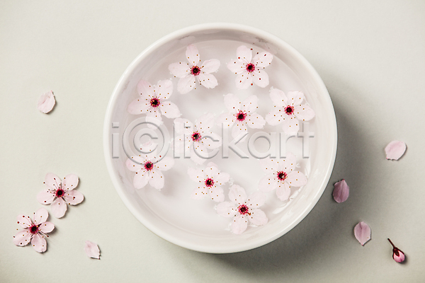 사람없음 JPG 포토 하이앵글 해외이미지 그릇 꽃봉오리 꽃잎 물 벚꽃 실내 아로마테라피 해외202004 흰배경