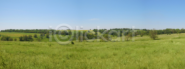 사람없음 JPG 포토 해외이미지 나무 농업 밭 산 생태학 숲 언덕 여름 여행 잎 자연 초원 파노라마 풍경 하늘 해외202004 해외202105 해외포토