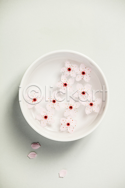 사람없음 JPG 포토 하이앵글 해외이미지 그릇 꽃잎 물 벚꽃 실내 아로마테라피 해외202004 흰배경