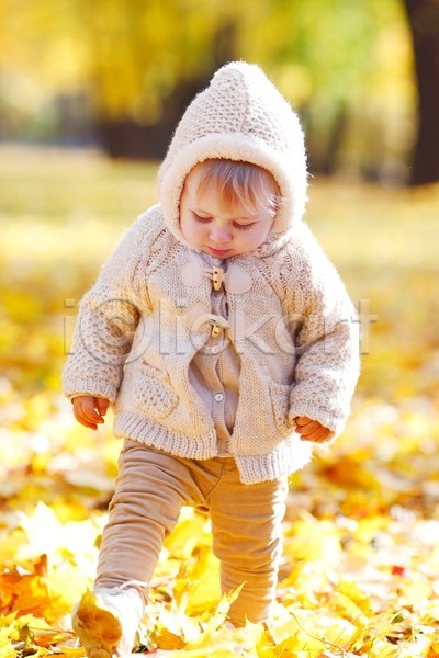 산책 행복 백인 어린이 한명 JPG 포토 해외이미지 10월 9월 가을(계절) 걸음마 공원 노란색 단풍 오렌지 잎 자연 작음 해외202004 해외202105