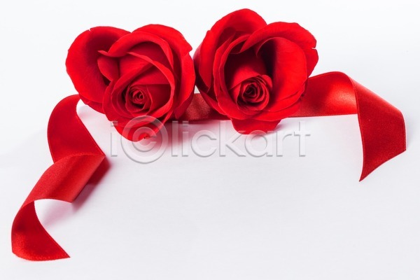 사랑 화려 사람없음 JPG 포토 해외이미지 기념 리본 발렌타인데이 백그라운드 빨간색 선물 심플 우아 장미 장식 카피스페이스 하트 해외202004 해외202105