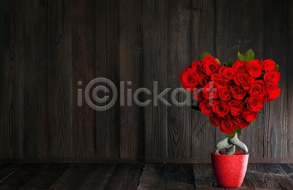 사랑 사람없음 JPG 포토 해외이미지 꽃다발 나무 발렌타인데이 빨간색 선물 장미 카피스페이스 하트 해외202004 해외202105