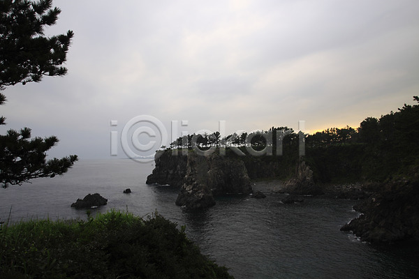 사람없음 JPG 포토 나무 돌(바위) 바다 바위(돌) 식물 야외 자연 절벽 주간 풍경(경치) 한국 해변