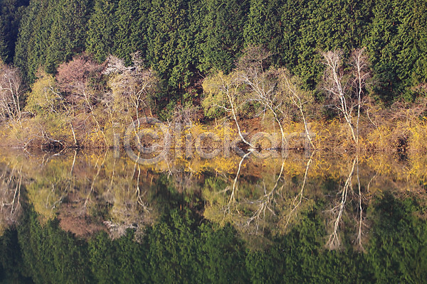사람없음 JPG 포토 나무 물그림자 반사 서산 숲 식물 야외 용비저수지 용비지 자연 저수지 주간 충청남도 충청도 풍경(경치) 한국 호수