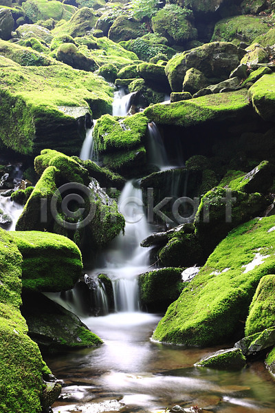 흐름 사람없음 JPG 포토 계곡 골짜기 급류 돌(바위) 물 바위(돌) 습지 야외 이끼 자연 주간 초록색 컬러 풍경(경치) 한국