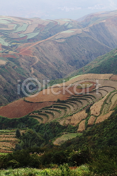 사람없음 JPG 포토 계단식 밭 아시아 야외 운남 주간 중국 풍경(경치) 해외 해외풍경 홍토지