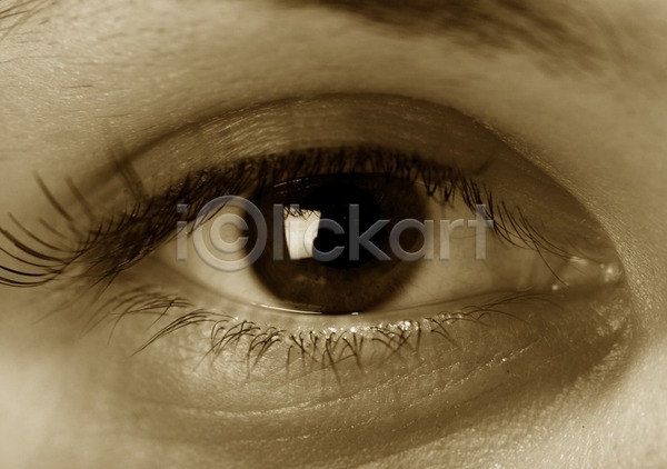 사람없음 JPG 포토 해외이미지 눈(신체부위) 눈동자 눈썹 닫기 디테일 비전 속눈썹 시력 응시 점검 해외202004 해외202105