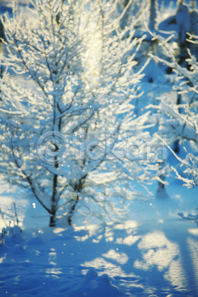 시원함 추위 사람없음 JPG 포토 해외이미지 12월 1월 가로 가문비나무 겨울 계절 그림자 나무 나뭇가지 눈내림 덮개 맑음 물 백그라운드 빛 산 서리 소나무 숲 스키 야외 얼음 일몰 일출 자연 장면 크리스마스 태양 파란색 풍경(경치) 해외202004 해외202105 햇빛 휴가 흰색