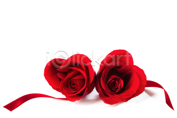 사랑 열정 사람없음 JPG 포토 해외이미지 2 2월 결혼 고립 꽃 리본 모양 발렌타인데이 백그라운드 벚꽃 빨간색 선물 신용카드 실크 심볼 인사 장미 카피스페이스 컨셉 파도 하트 해외202004 해외202105 흰색