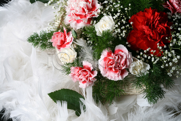 사람없음 JPG 포토 해외이미지 결혼 결혼식 꽃 꽃다발 분홍색 빨간색 카네이션 해외202004 해외202105 흰색