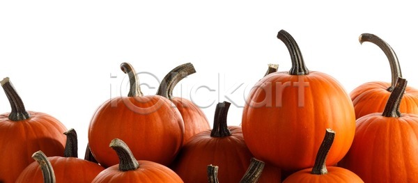 사람없음 JPG 포토 해외이미지 10월 가을 계절 고립 그룹 날것 내추럴 농업 단풍 많음 박 백그라운드 수확 숙성 스쿼시 시장 신용카드 오렌지 유기농 음식 장식 채소 추수감사절 카피스페이스 컨셉 큼 할로윈 해외202004 해외202105 해외포토 호박 휴가 흰색