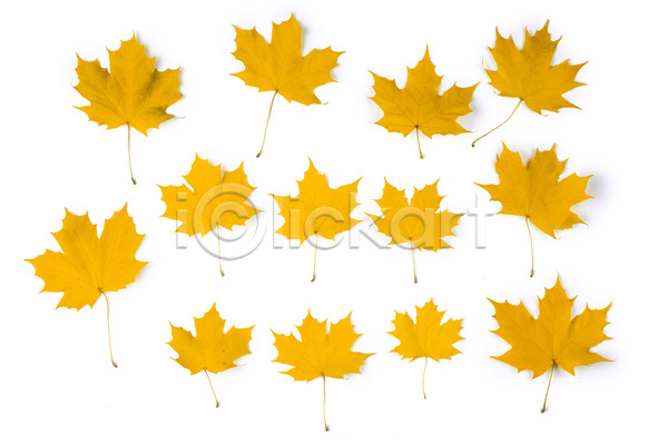 사람없음 JPG 포토 해외이미지 가을(계절) 단풍 백그라운드 잎 할로윈 해외202004 해외202105