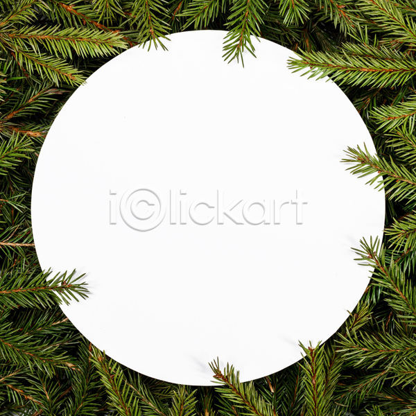 사람없음 JPG 포토 해외이미지 겨울 나무 나뭇가지 디자인 엽서 오브젝트 초대 카피스페이스 크리스마스 해외202105